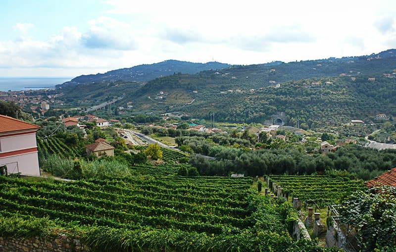 Een prachtig uitzicht over de stad van Diano Castello