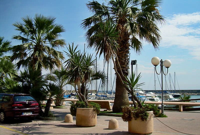 Palmbomen naast een haven in San Bartolomeo al Mare