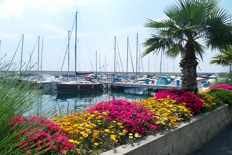 Kleurrijke bloemen naast een haven van San Lorenzo al Mare