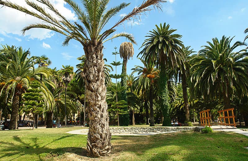 Een park met palmbomen in het centrum van Ventimiglia