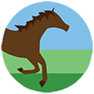 Leer waar te huur paarden, paardrijlessen en rondleidingen